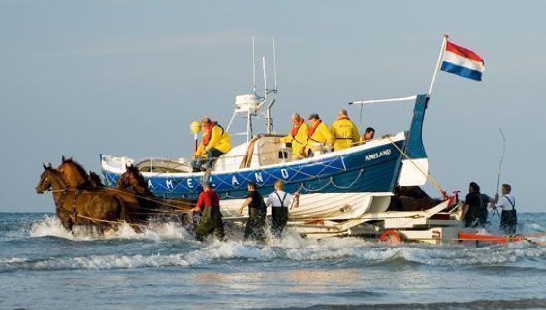 Demonstration horse-drawn rescue boat - Tourist Information 