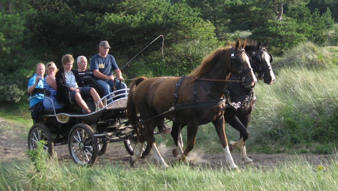  Recreational rides family De Boer - Tourist Information Centre 