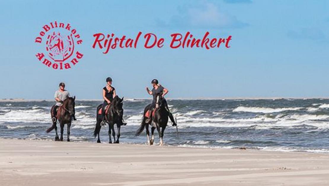 Riding stable de Blinkert - Tourist Information 