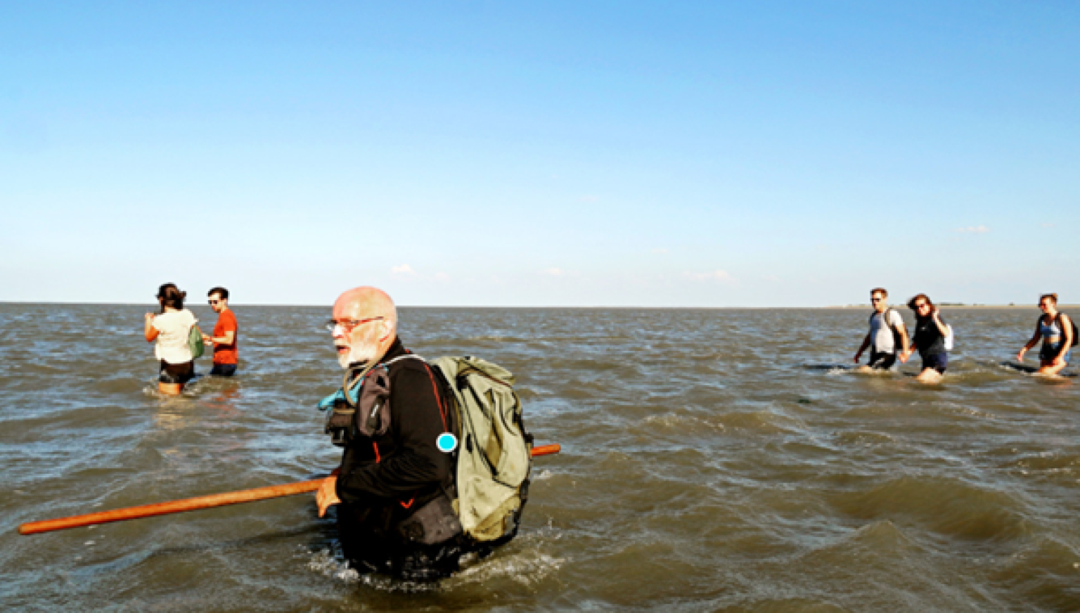Tidal flat walks - VVV Ameland